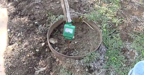 ENVIRONMENTAL BASE LINE SURVEY