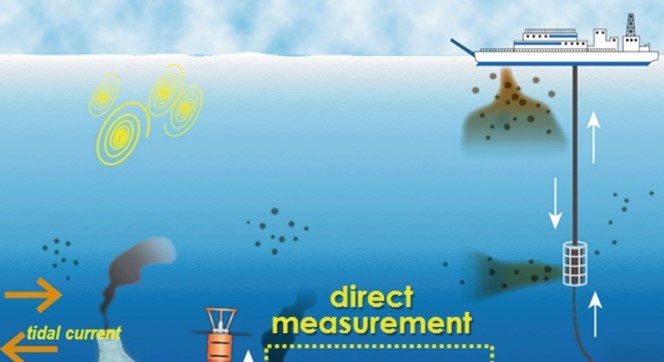 MARINE EIA STUDIES