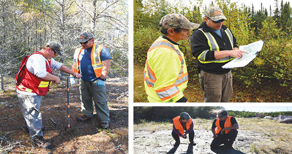 Forest & Wildlife Clearance Support